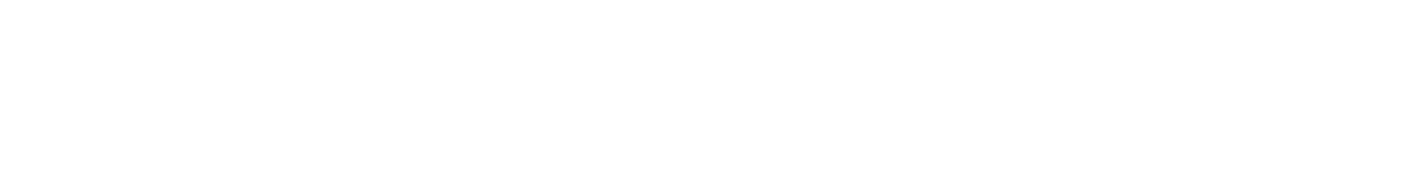 Leicester city council logo